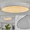 Elmar Plafoniera, Panel LED Bianco, 1-Luce