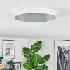 Elmar Plafoniera, Panel LED Bianco, 1-Luce