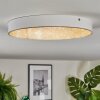 Elmar Plafoniera, Panel LED Bianco, 1-Luce