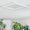 Xarel Plafoniera, Panel LED Bianco, 1-Luce