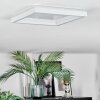 Xarel Plafoniera, Panel LED Bianco, 1-Luce