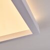 Xarel Plafoniera, Panel LED Bianco, 1-Luce