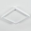 Xarel Plafoniera, Panel LED Bianco, 1-Luce