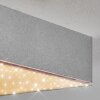Esmar Plafoniera, Panel LED Argento, 1-Luce