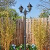 Naofe Lampione multibraccia, Illuminazione viale Nero, 2-Luci