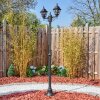 Naofe Lampione multibraccia, Illuminazione viale Nero, 2-Luci