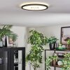 Simonstorp Plafoniera, Panel LED Nero, Bianco, 1-Luce
