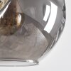 Ripoll Lampadario a sospensione, Lampada a sfera, Lampada a sospensione Ambrato, Grigio fumo, 8-Luci