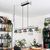 Gastor Lampadario a sospensione, Lampada a sfera, Lampada a sospensione Blu, Cromo, Verde, Chiaro, Ramato, Grigio fumo, 5-Luci