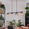 Koyoto Lampadario a sospensione, Lampada a sfera, Lampada a sospensione Ambrato, Chiaro, Grigio fumo, 4-Luci