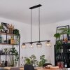Koyoto Lampadario a sospensione, Lampada a sfera, Lampada a sospensione Ambrato, Chiaro, Grigio fumo, 4-Luci