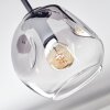 Ripoll Plafoniera, Lampada a sfera Ambrato, Chiaro, Grigio fumo, 5-Luci