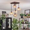 Koyoto Plafoniera, Lampada a sfera Ambrato, Chiaro, Grigio fumo, 5-Luci