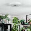Luvan Plafoniera LED Bianco, 1-Luce