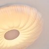 Luvan Plafoniera LED Bianco, 1-Luce