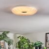 Luvan Plafoniera LED Bianco, 1-Luce