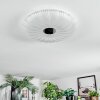 Luvan Plafoniera LED Bianco, 1-Luce