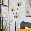 Koyoto Lampada a sfera, Lampada da terra Ambrato, Chiaro, 3-Luci