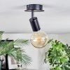 Geira Plafoniera, Faretto da soffitto, Faretto da parete Nero, 1-Luce