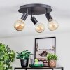 Geira Plafoniera, Faretto da soffitto Nero, 3-Luci