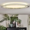 Ipres Plafoniera, Panel LED Argento, Bianco, 1-Luce