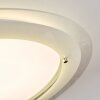 Ipres Plafoniera, Panel LED Argento, Bianco, 1-Luce