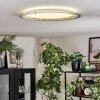 Ipres Plafoniera, Panel LED Argento, Bianco, 1-Luce