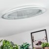 Ipres Plafoniera, Panel LED Argento, Bianco, 1-Luce