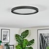 Xarel Plafoniera, Panel LED Nero, 1-Luce