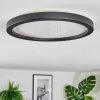 Xarel Plafoniera, Panel LED Nero, 1-Luce