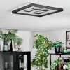 Ilyan Plafoniera, Panel LED Nero, 1-Luce
