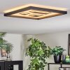 Ilyan Plafoniera, Panel LED Nero, 1-Luce