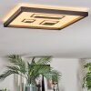 Ilyan Plafoniera, Panel LED Nero, 1-Luce