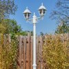 Naofe Lampione multibraccia, Illuminazione viale Bianco, 2-Luci