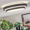Orvan Plafoniera, Panel LED Nero, Bianco, 1-Luce