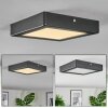 Isela Plafoniera, Panel LED Nero, 1-Luce