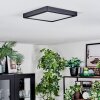 Isela Plafoniera, Panel LED Nero, 1-Luce