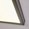 Isela Plafoniera, Panel LED Nero, 1-Luce