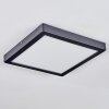 Isela Plafoniera, Panel LED Nero, 1-Luce