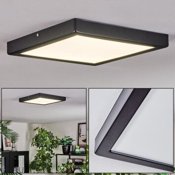 Isela Plafoniera, Panel LED Nero, 1-Luce