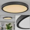 Isela Plafoniera, Panel LED Nero, 1-Luce