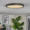 Isela Plafoniera, Panel LED Nero, 1-Luce