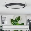 Isela Plafoniera, Panel LED Nero, 1-Luce