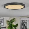 Isela Plafoniera, Panel LED Nero, 1-Luce