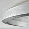 Xarel Plafoniera, Panel LED Argento, 1-Luce