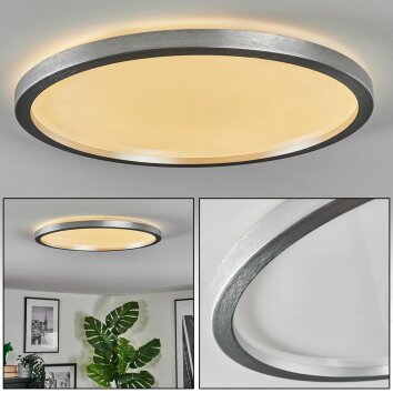 Xarel Plafoniera, Panel LED Argento, 1-Luce