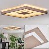 Ilion Plafoniera, Panel LED Nichel opaco, Bianco, 1-Luce