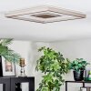 Ilion Plafoniera, Panel LED Nichel opaco, Bianco, 1-Luce