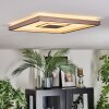 Ilion Plafoniera, Panel LED Nichel opaco, Bianco, 1-Luce