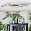Ilion Plafoniera, Panel LED Nichel opaco, Bianco, 1-Luce